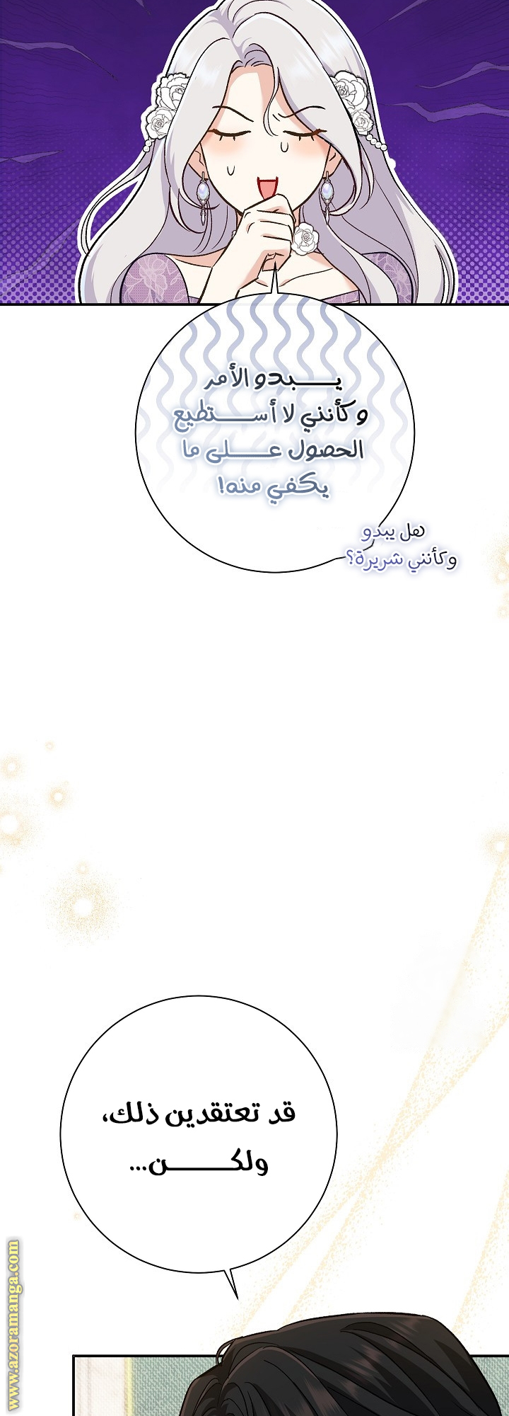 الصفحة 25