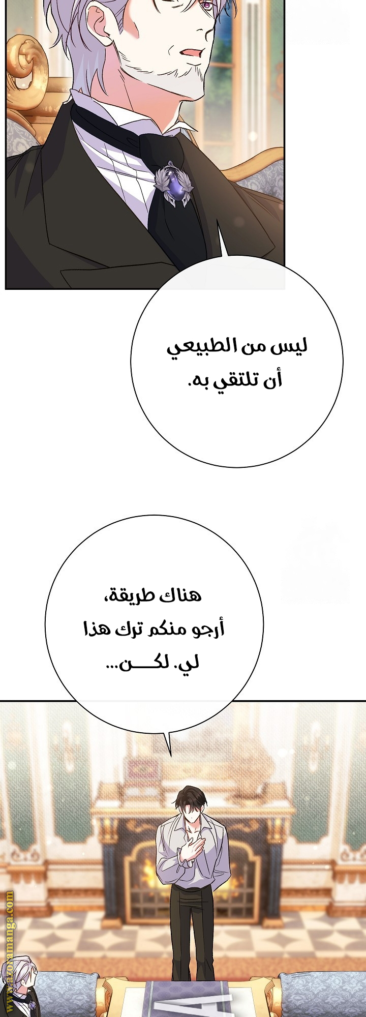 الصفحة 29