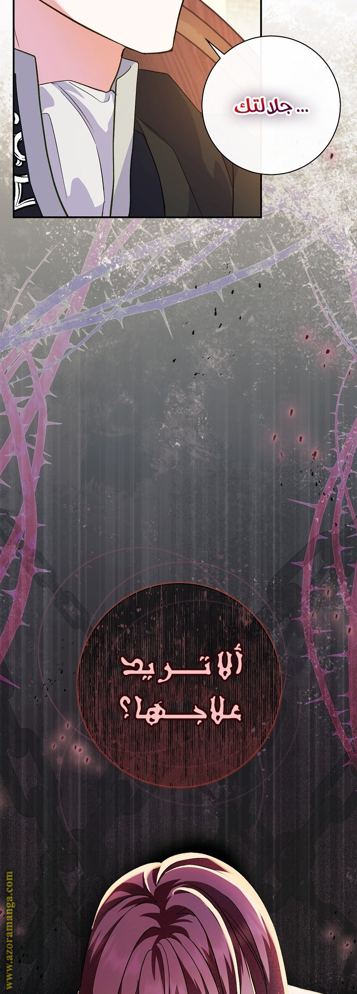 الصفحة 41
