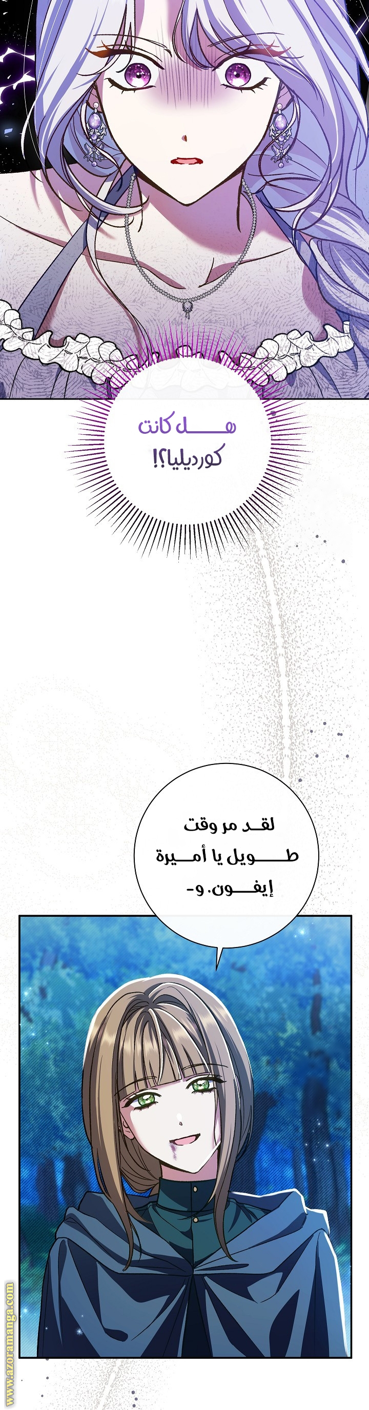 الصفحة 13