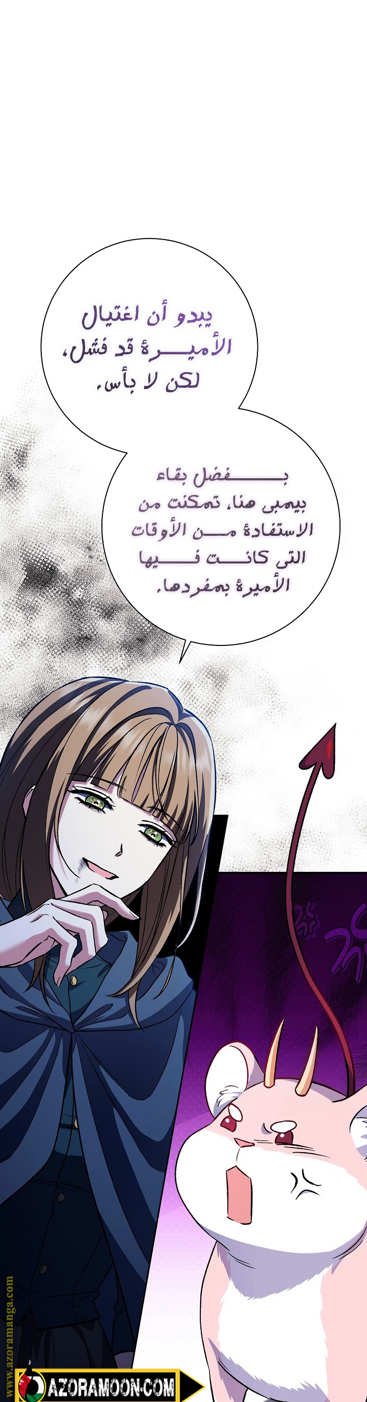 الصفحة 27