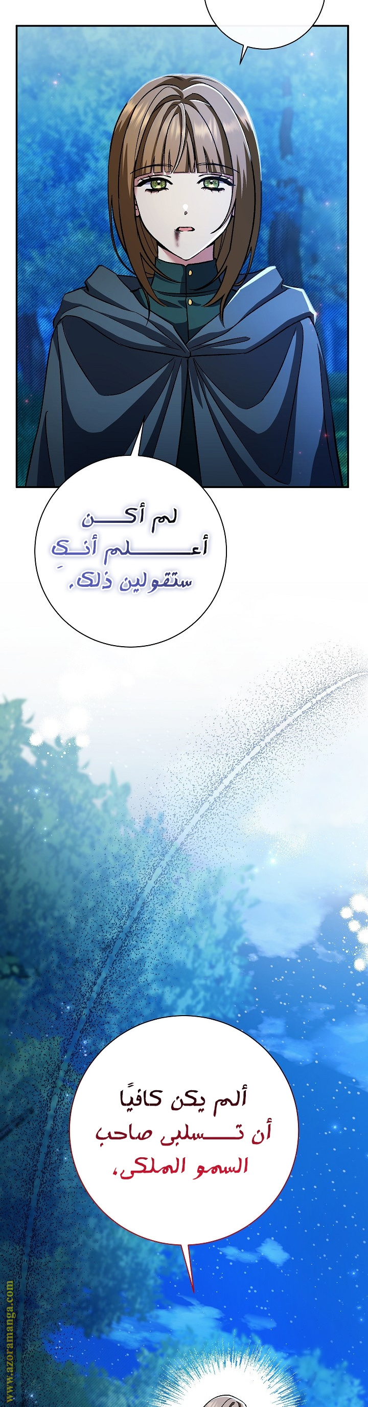 الصفحة 30
