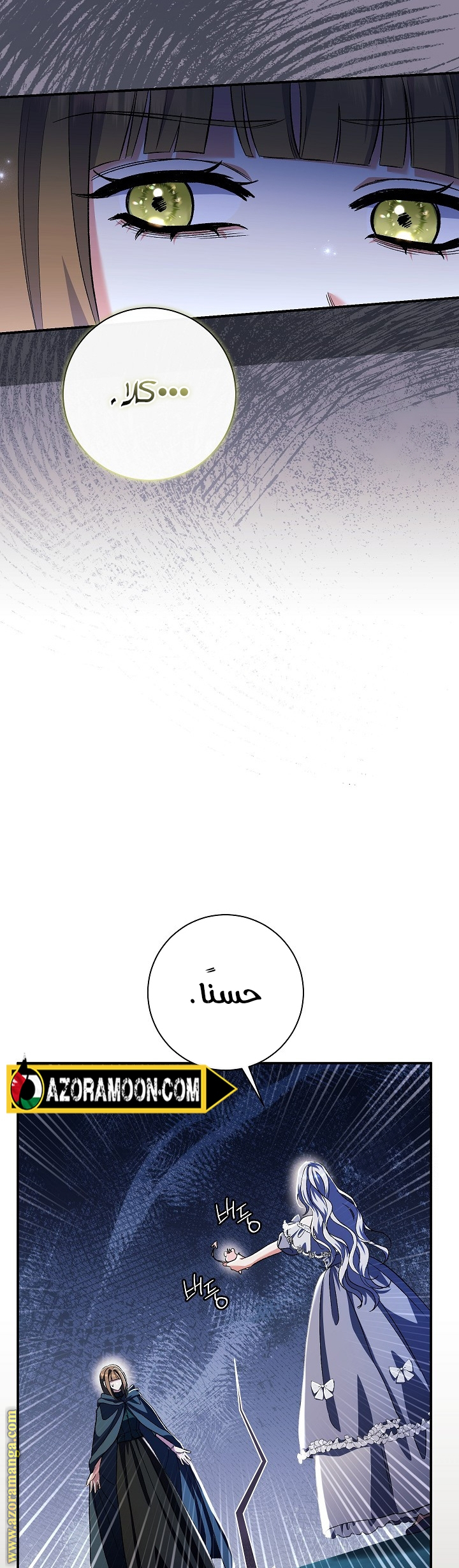 الصفحة 25