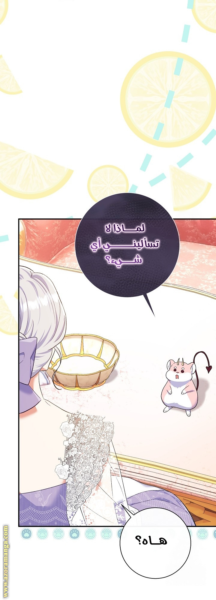 الصفحة 14