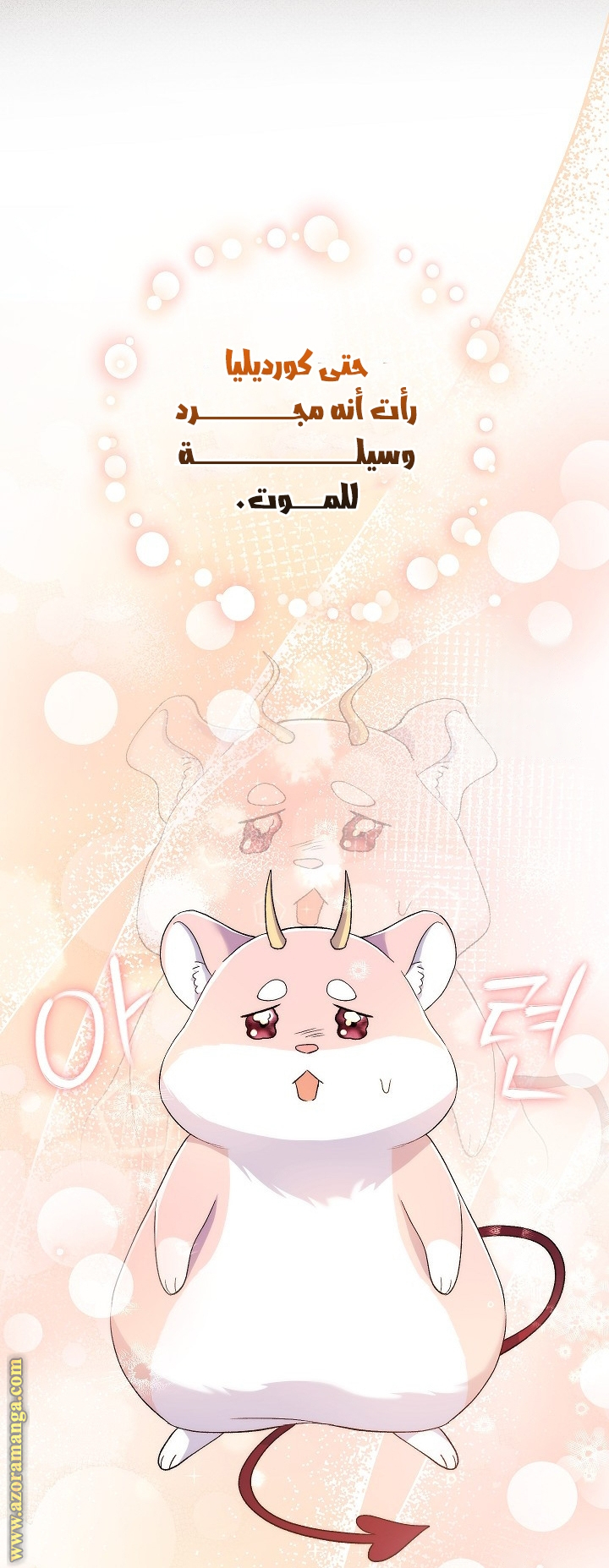 الصفحة 21