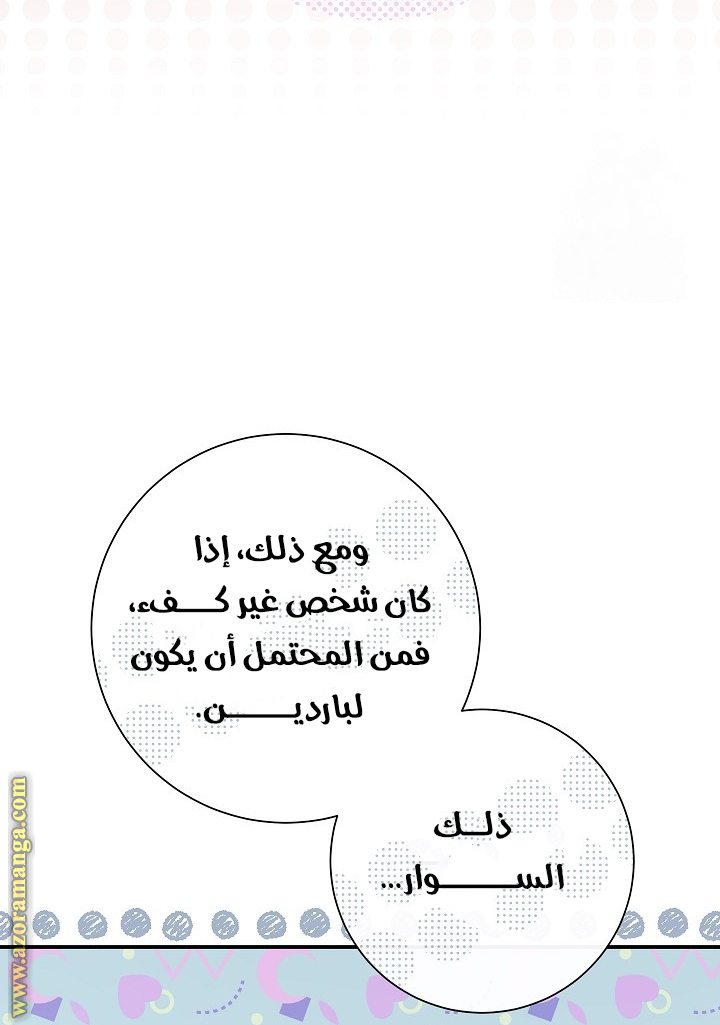 الصفحة 27