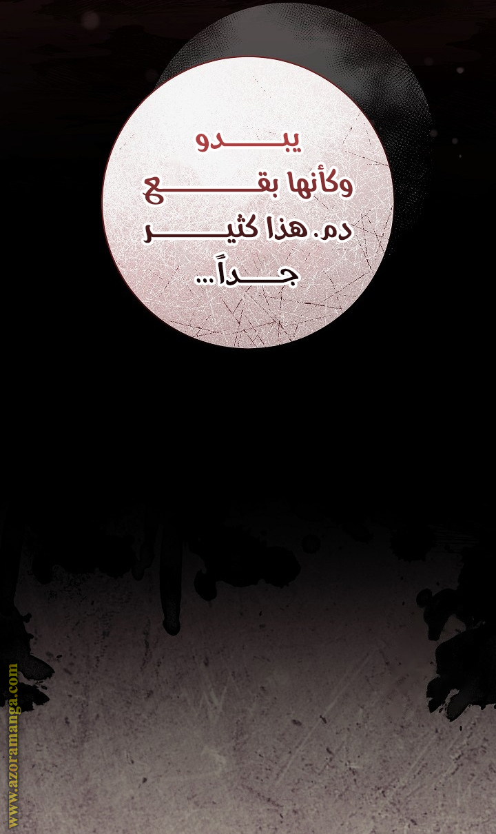 الصفحة 23