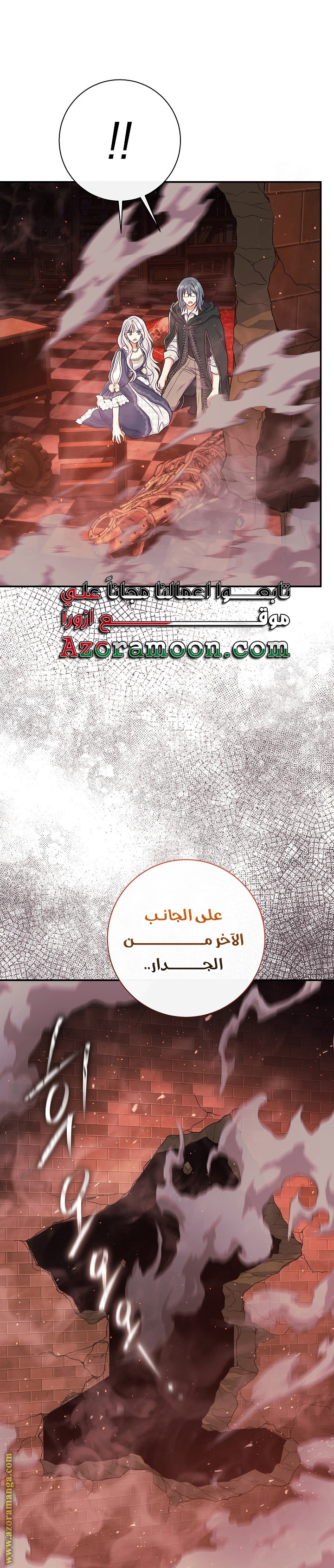 الصفحة 17