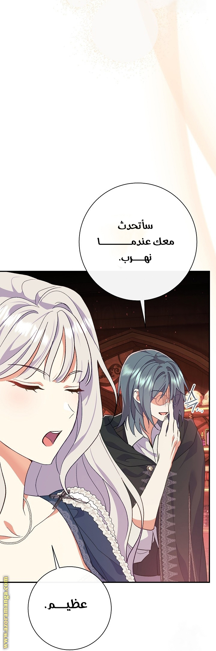 الصفحة 41