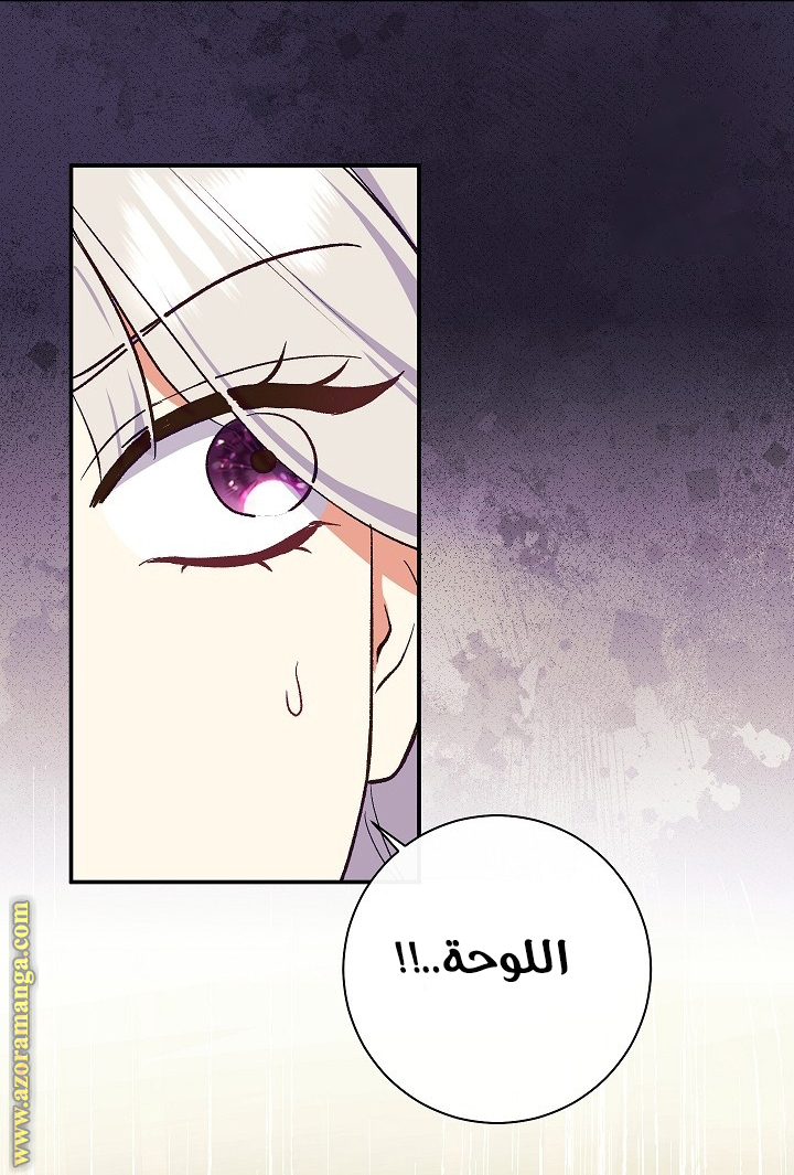 الصفحة 61