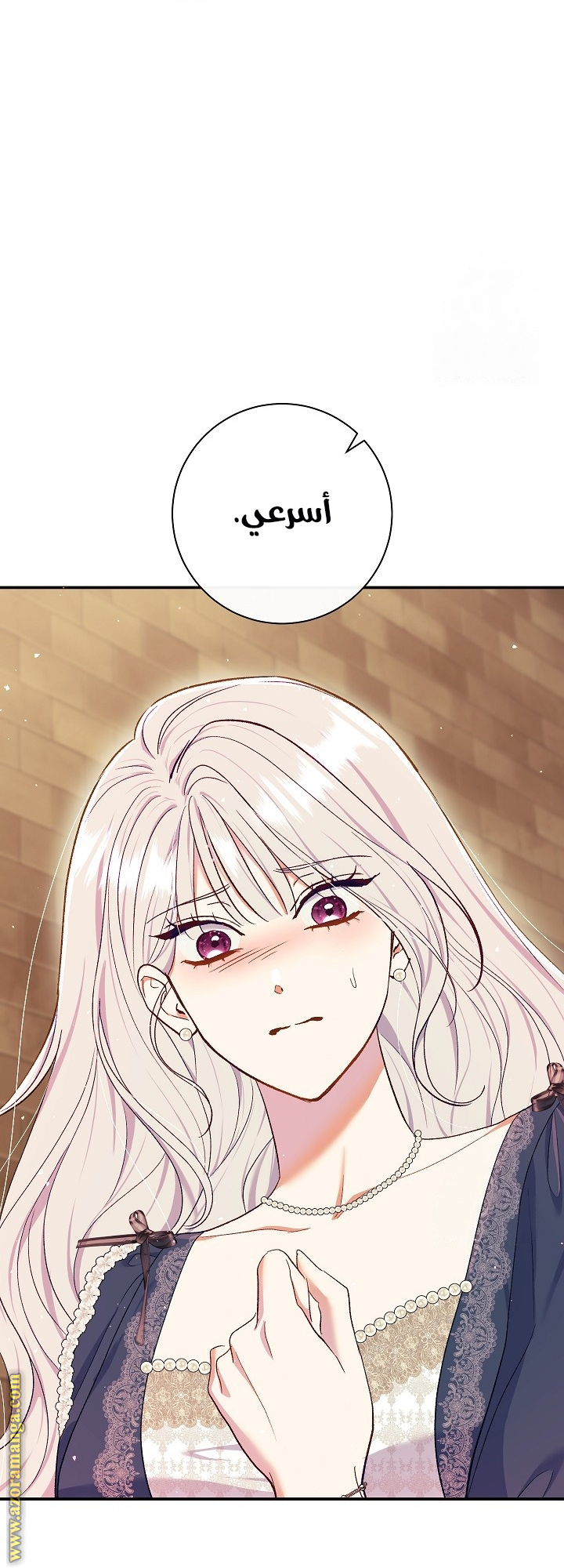 الصفحة 27