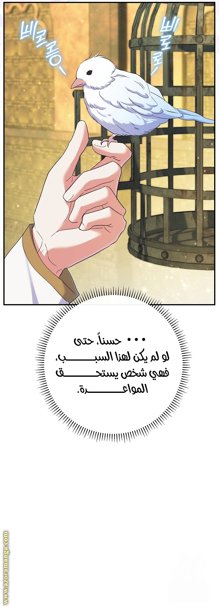 الصفحة 41