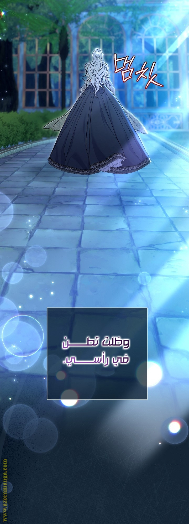 الصفحة 17
