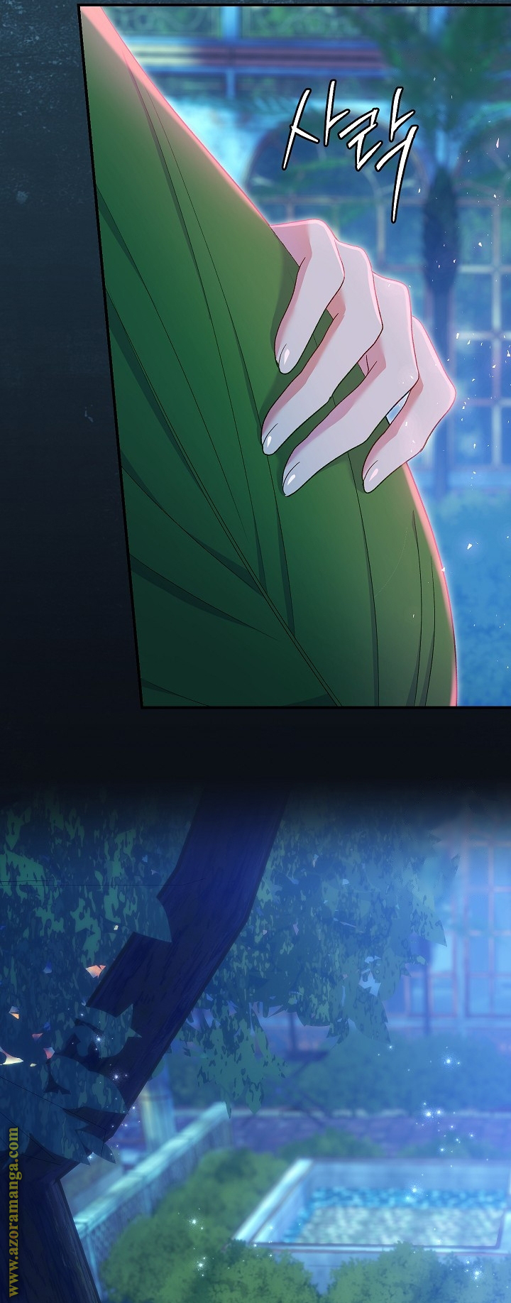 الصفحة 31