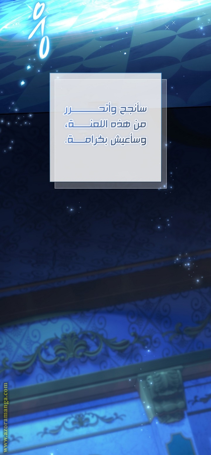 الصفحة 62