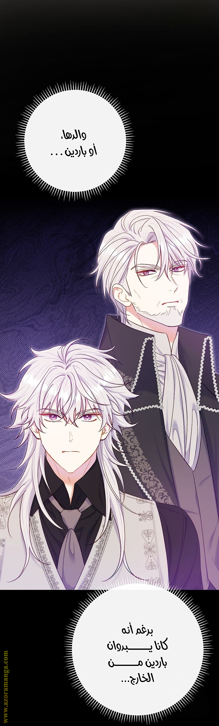 الصفحة 12