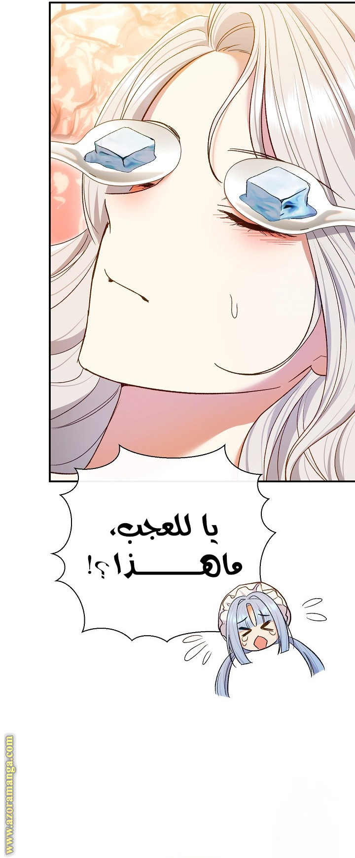 الصفحة 32