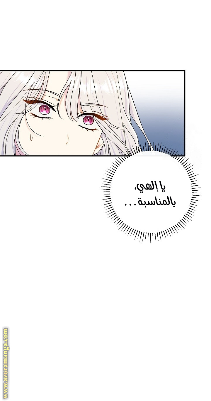 الصفحة 55