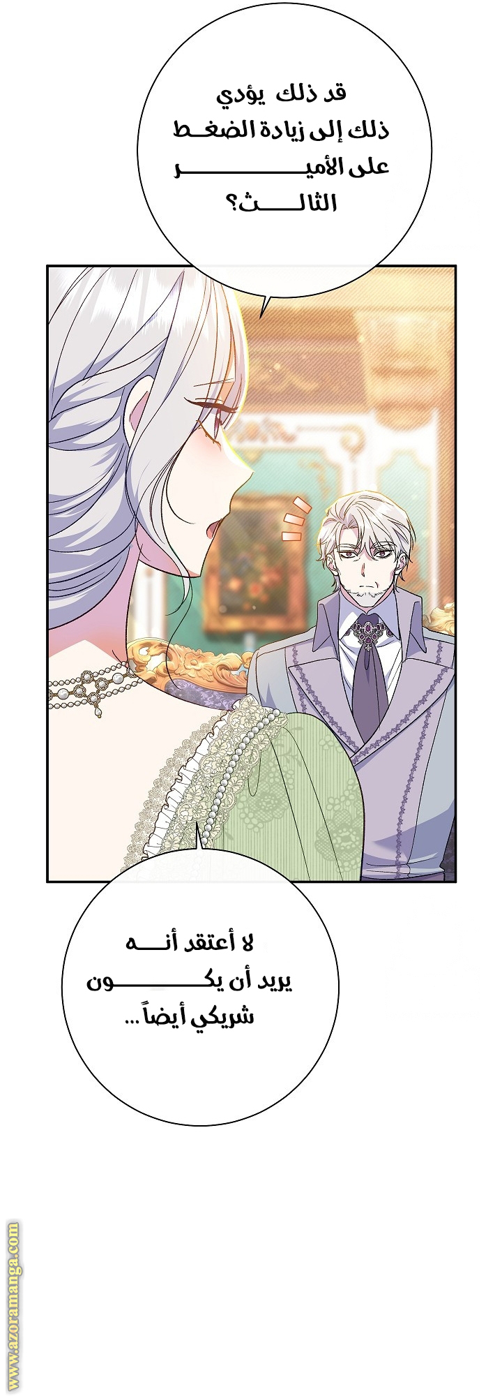 الصفحة 17