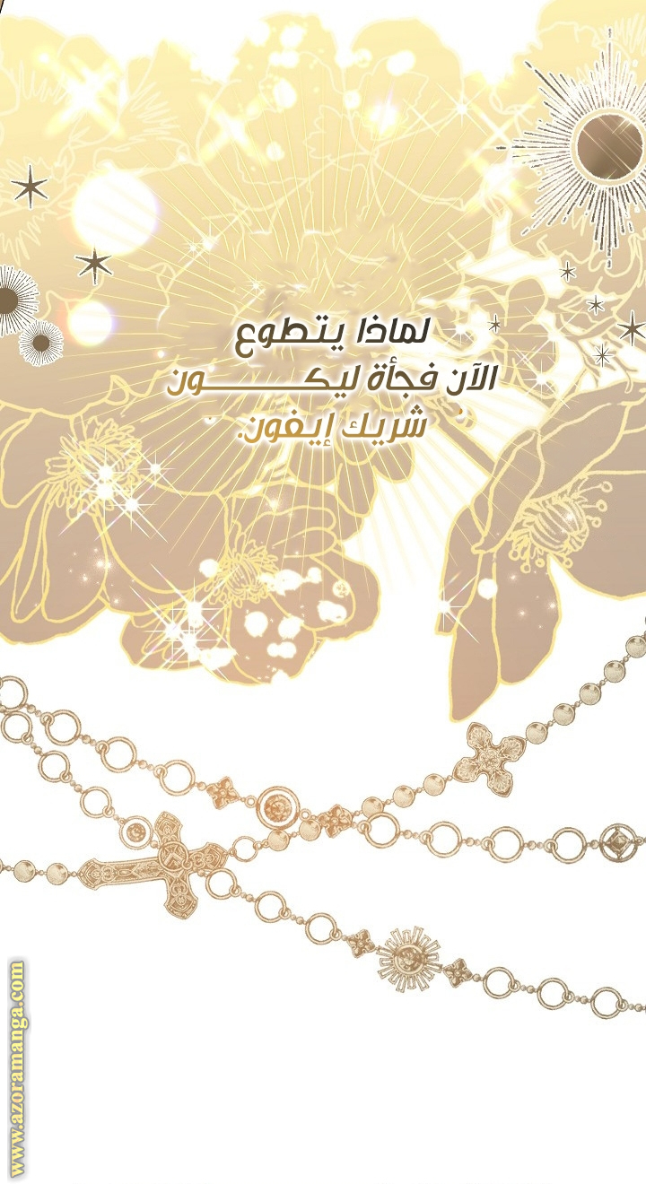 الصفحة 45