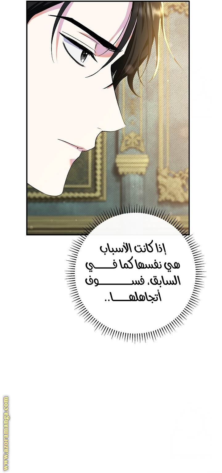 الصفحة 46