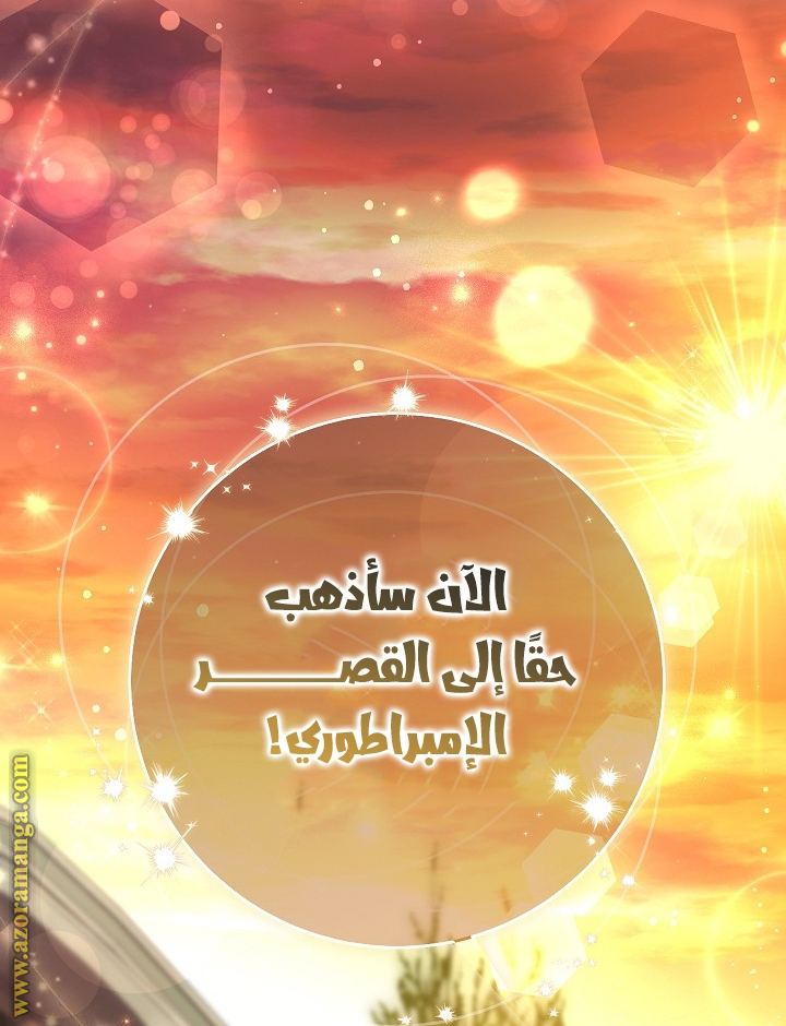 الصفحة 67
