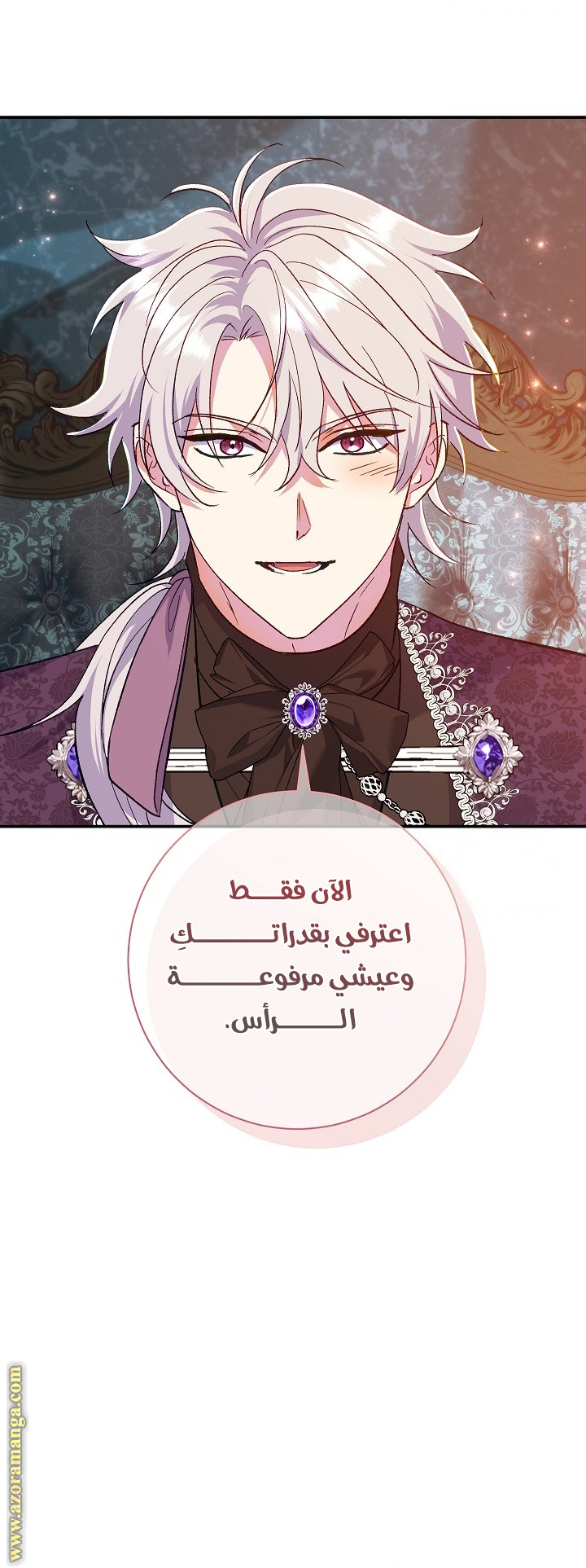 الصفحة 25