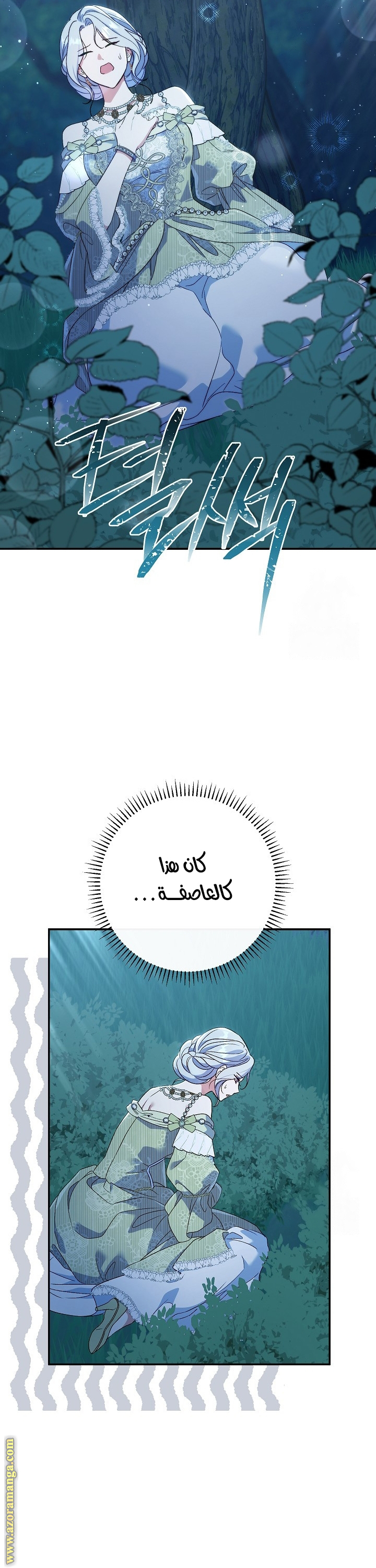 الصفحة 29