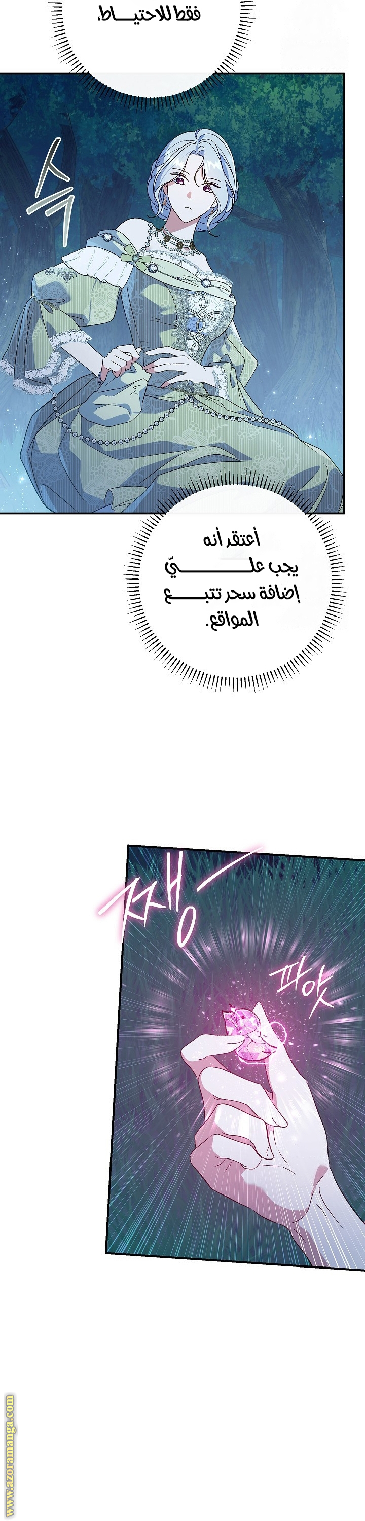 الصفحة 31