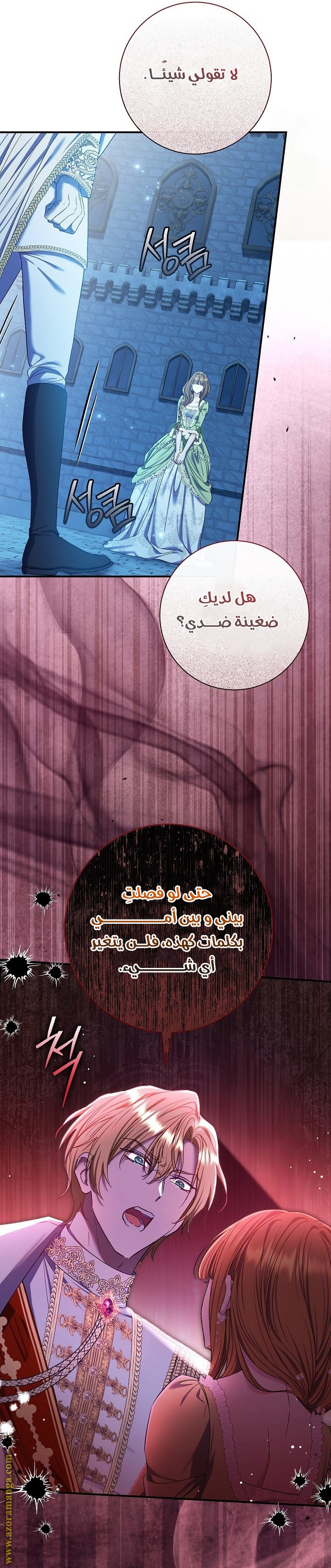 الصفحة 21