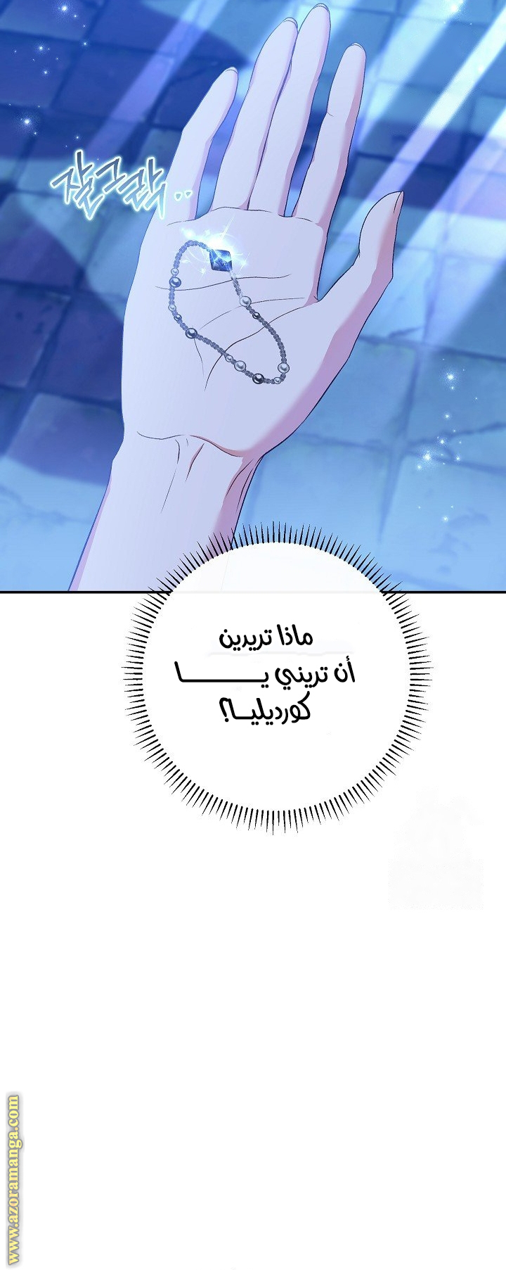 الصفحة 29