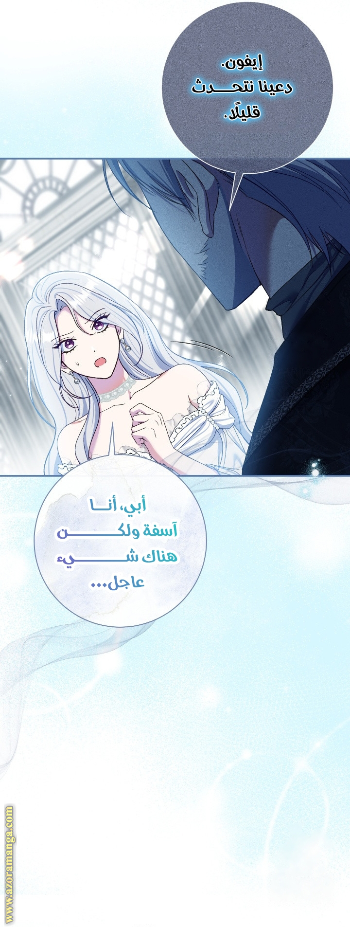 الصفحة 13