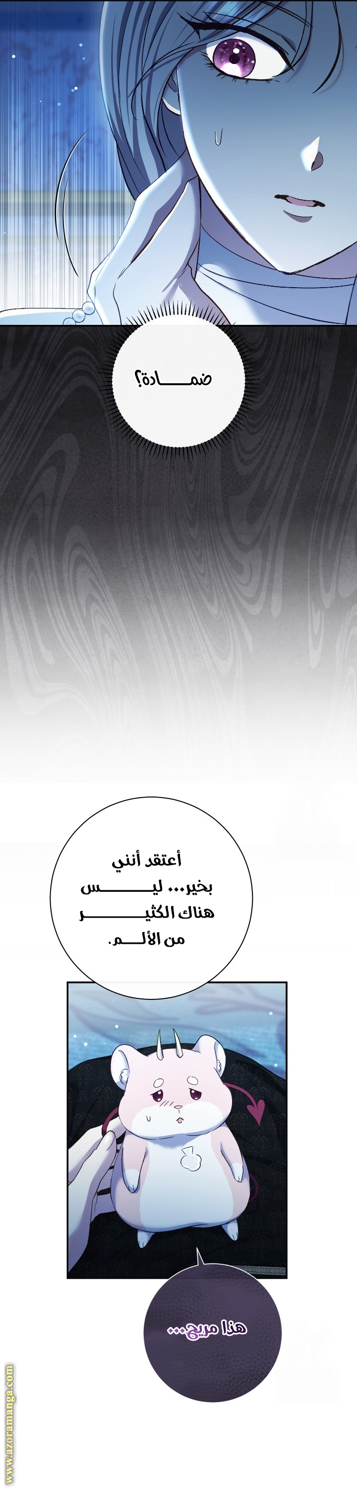 الصفحة 47