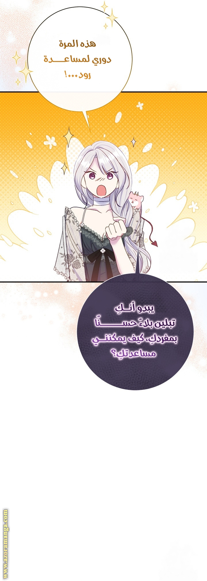 الصفحة 27
