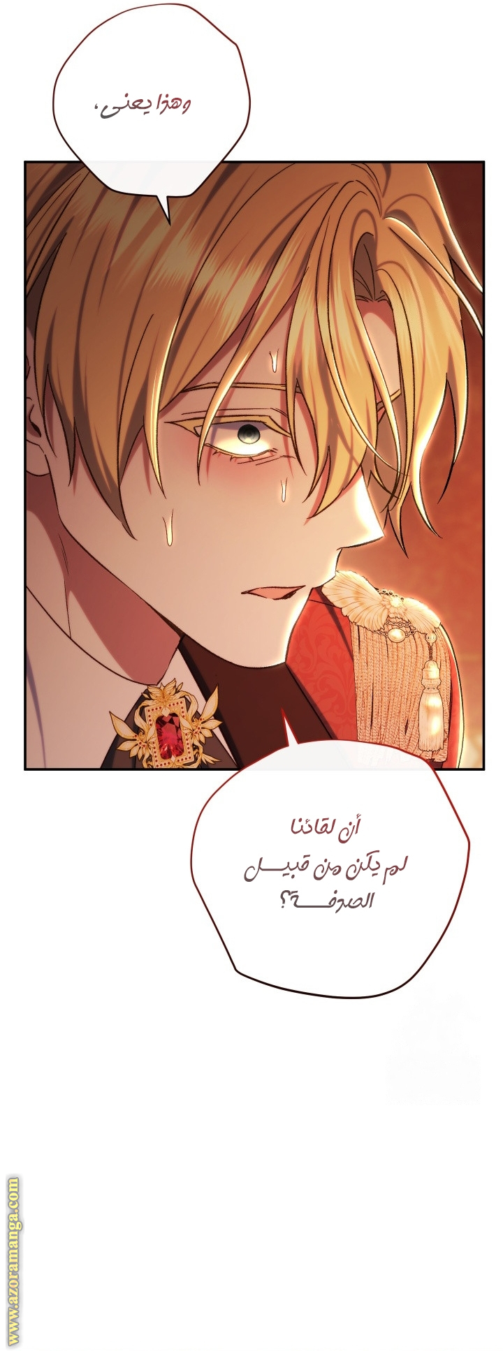 الصفحة 41