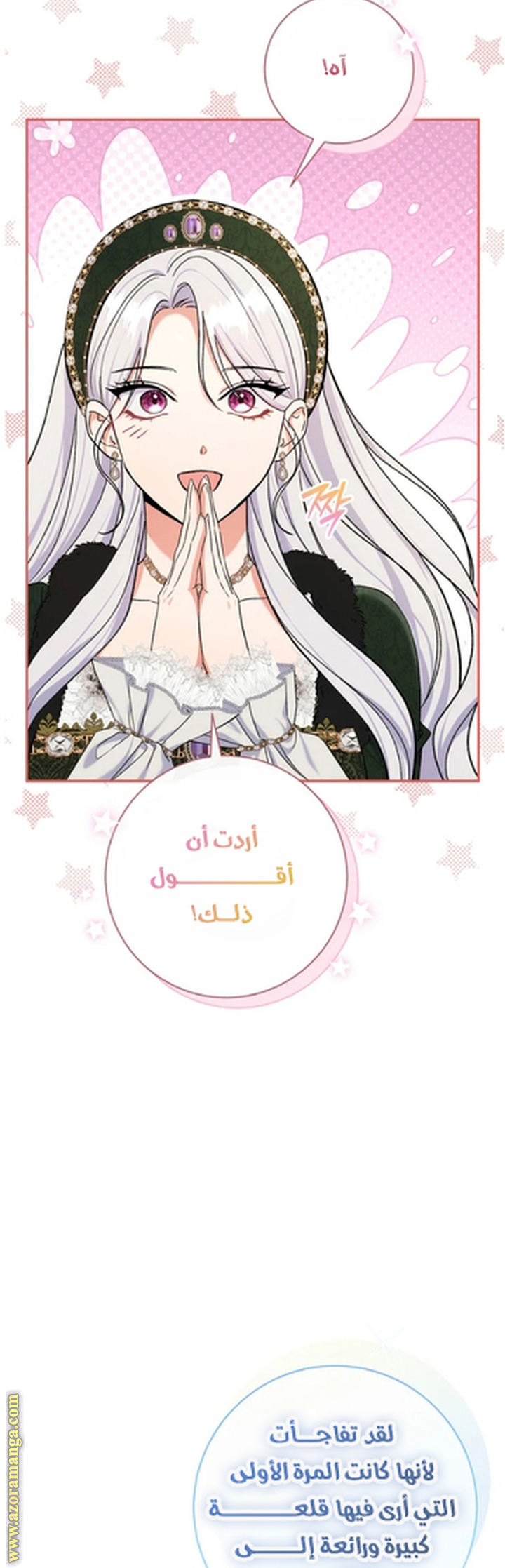 الصفحة 20