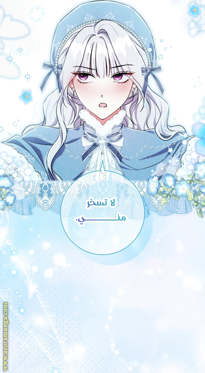الصفحة 29