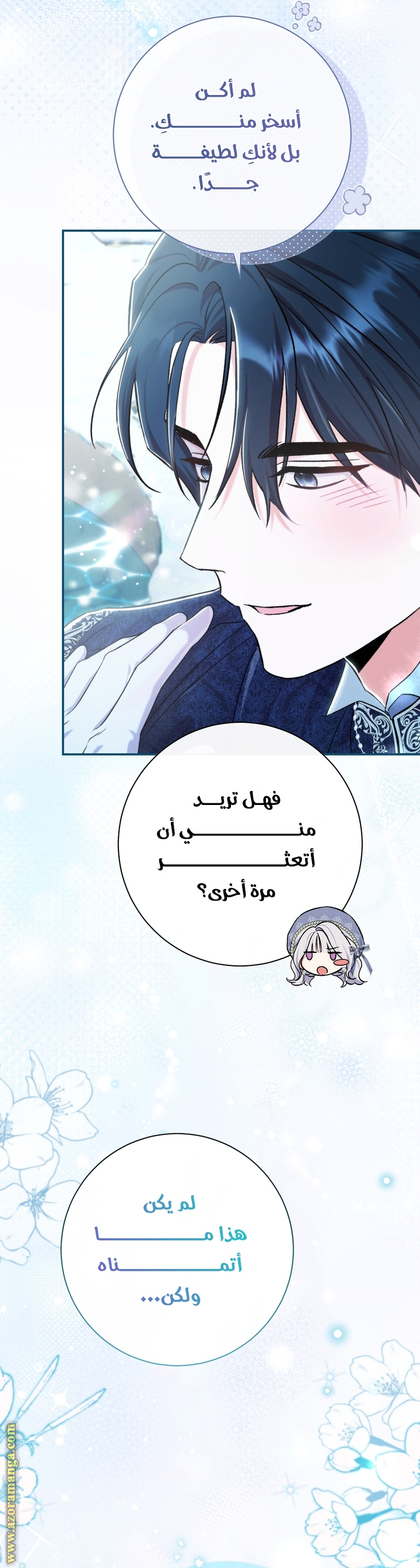الصفحة 30