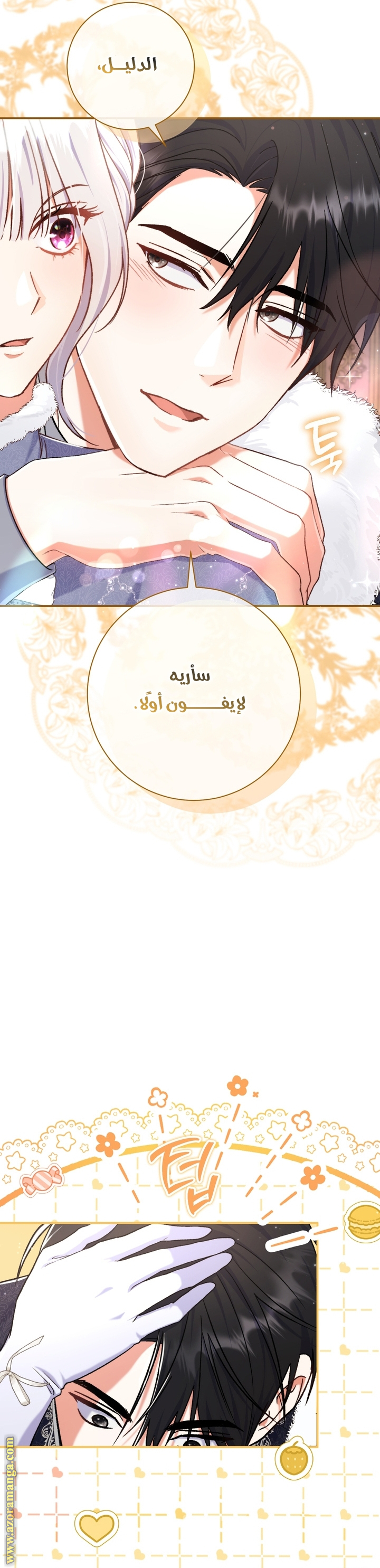 الصفحة 17