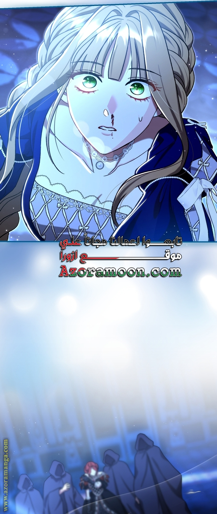الصفحة 43