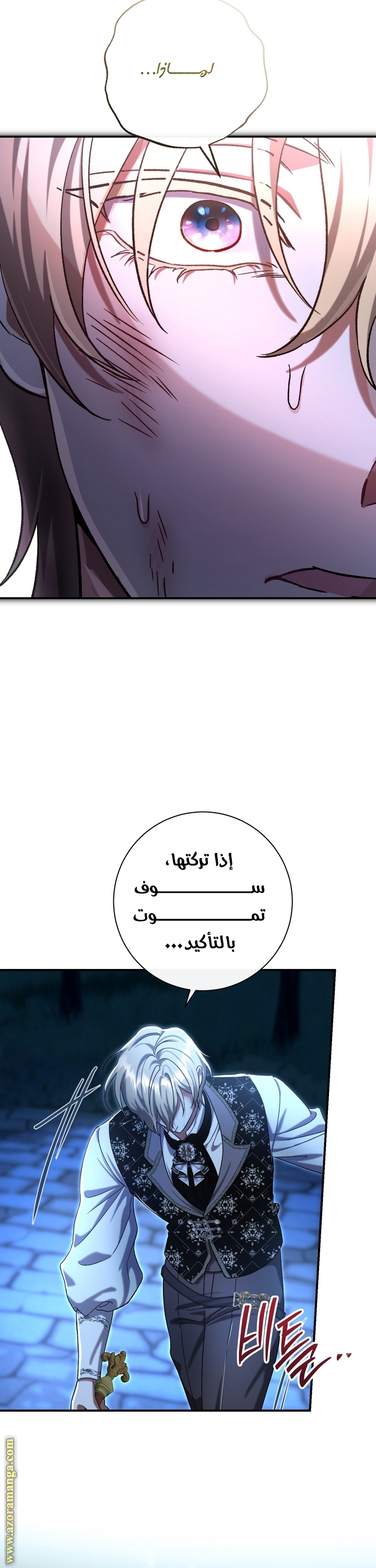 الصفحة 25