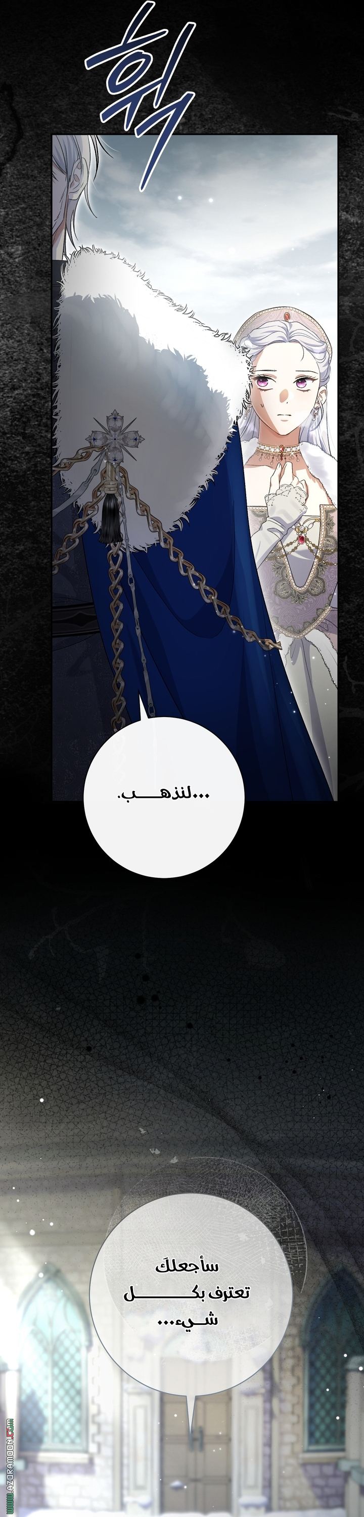 الصفحة 13