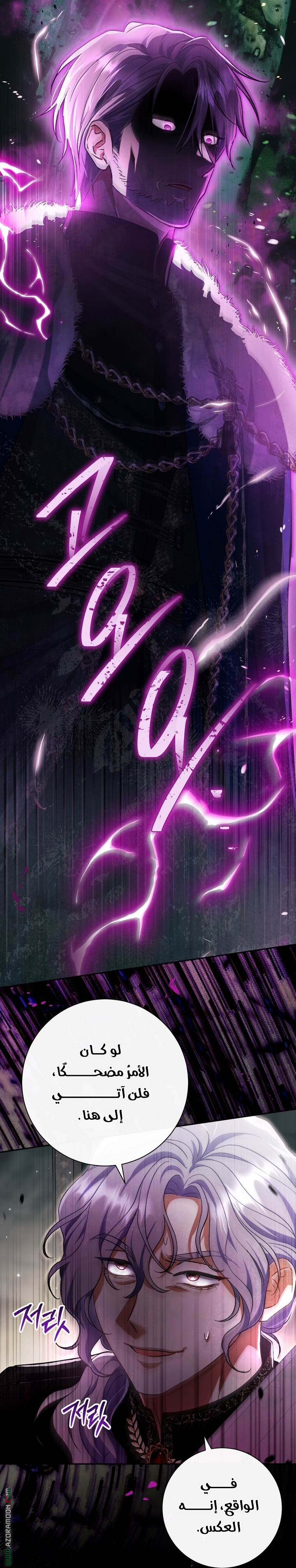 الصفحة 25