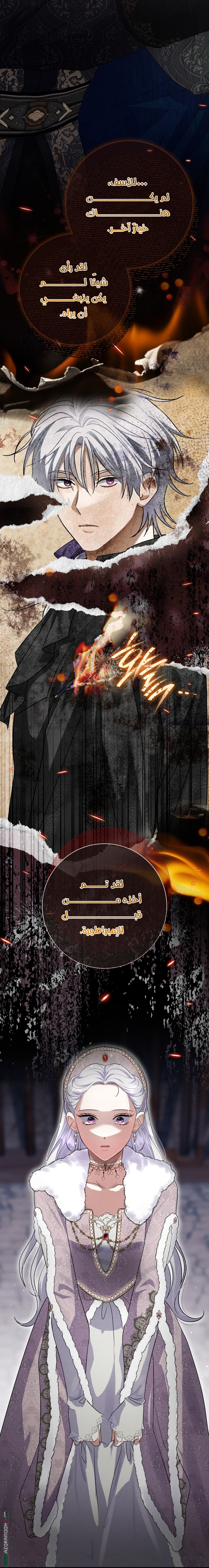 الصفحة 48
