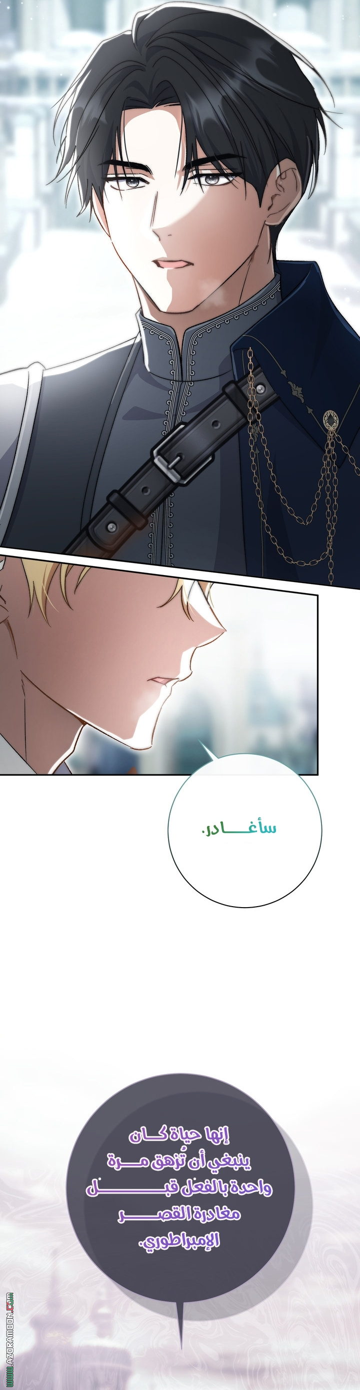 الصفحة 21