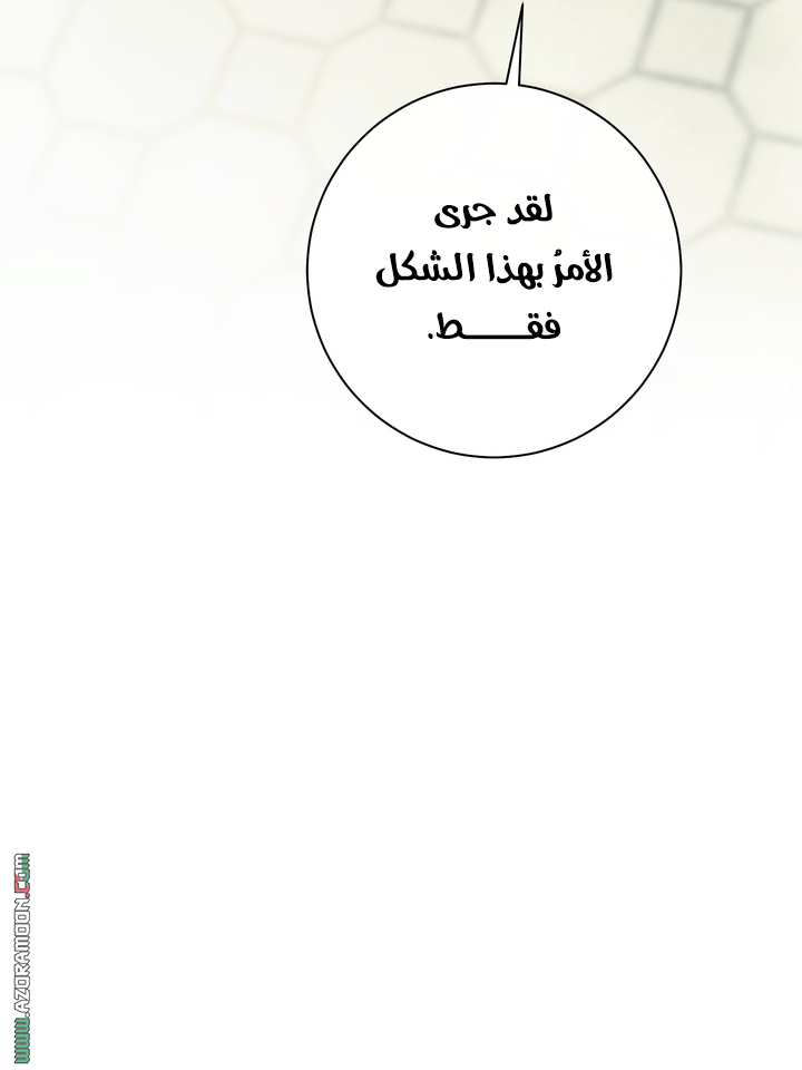 الصفحة 41