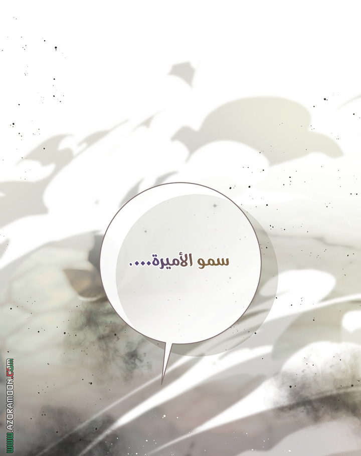 الصفحة 58