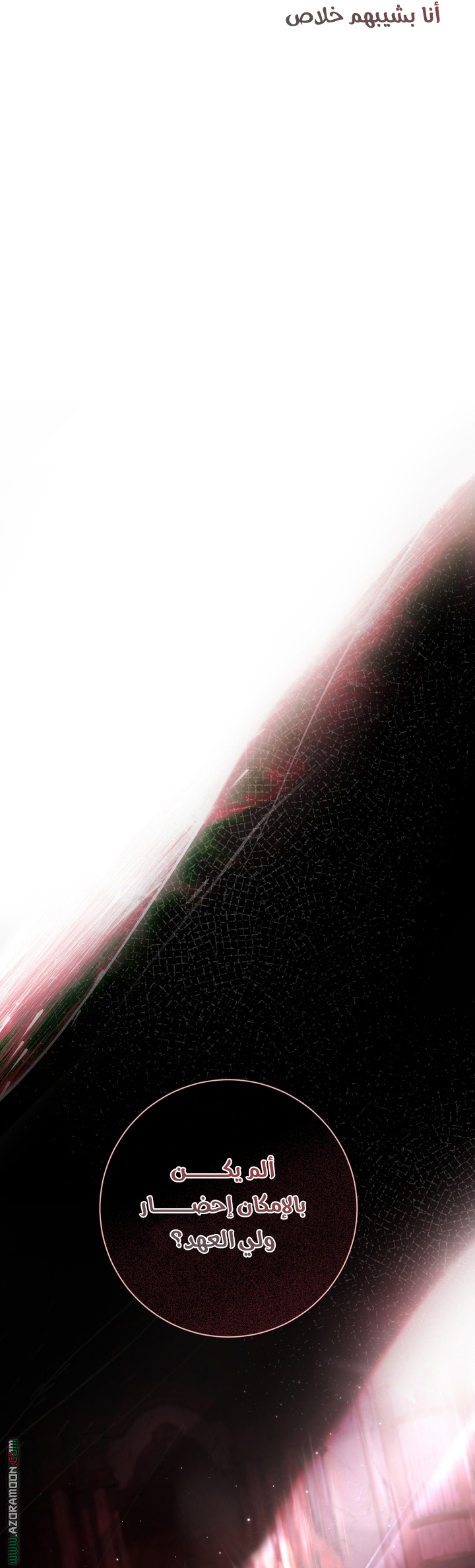 الصفحة 29