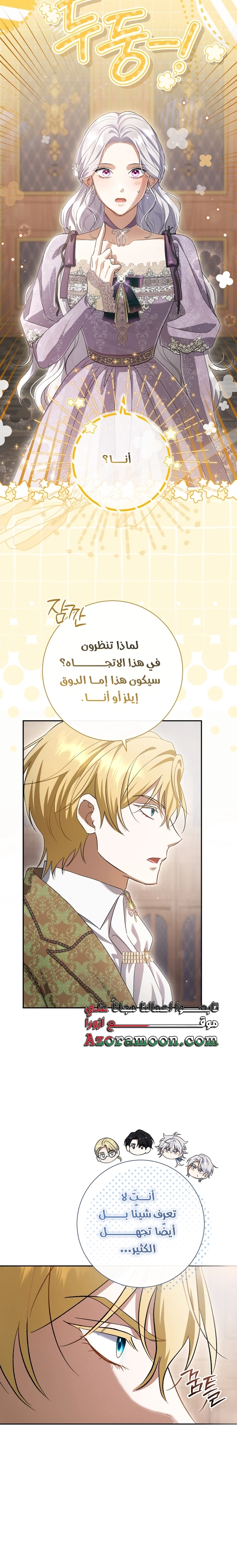 الصفحة 26