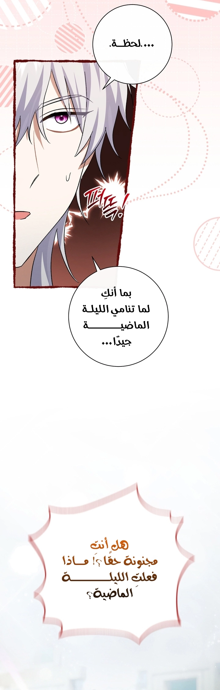 الصفحة 51